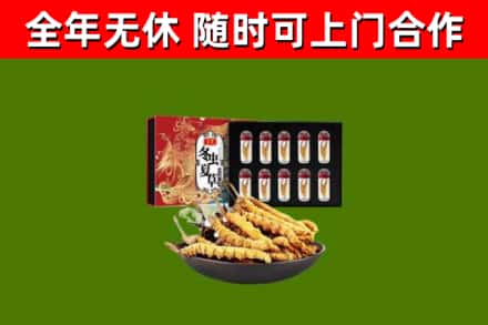 大洼回收冬虫夏草价格
