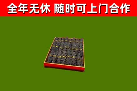 大洼回收海参